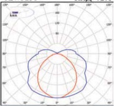  ������ ���� �����